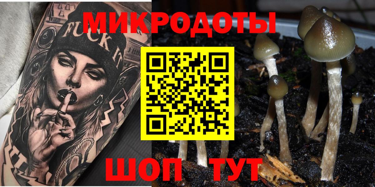 Мичуринск  Галлюциногенные грибы Psilocybine cubensis  Вход с VPN 